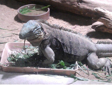 2012-08-24 17.14.56.jpg