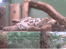 2012-08-24 17.18.37.jpg