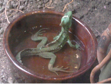 2012-08-24 17.19.04.jpg