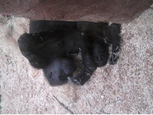 2012-08-24 17.24.29.jpg