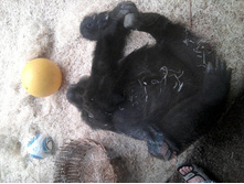 2012-08-24 17.25.26.jpg