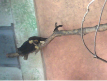 2012-08-24 17.26.12.jpg