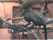 2012-08-24 17.26.50.jpg