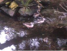 2012-08-24 17.32.48.jpg