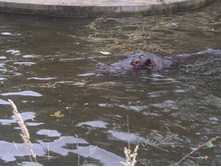 2012-08-24 17.35.44.jpg