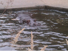 2012-08-24 17.36.18.jpg