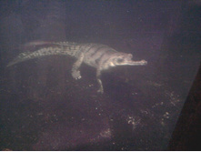 2012-08-24 17.41.16.jpg