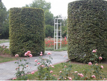 ���� ���.JPG