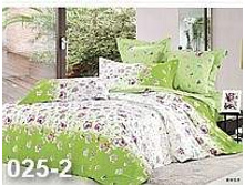 ����������� 025-2.jpg