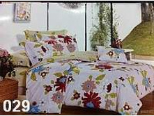 ����������� 029.jpg