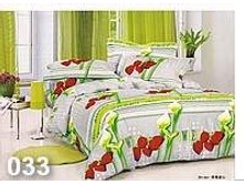 ����������� 033.jpg