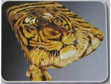 ����  ��������