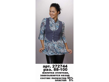 272744  ������ �������