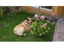 ���� ����������.jpg