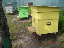 ����̣���� ����.