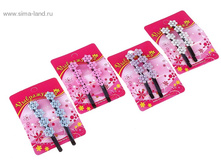 31,01�� 5 ���