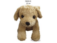 ������� ������ �����, 22��   110�..png