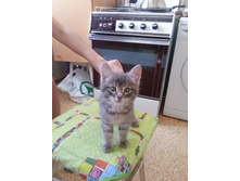 20130125123000.jpg