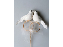 ������ ������.JPG