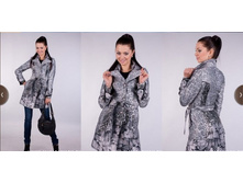 ����*���� ����� �������. 2580���