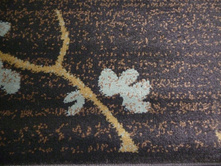 ��������� ���