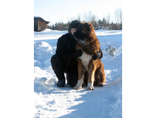 ��� �����, 13 ���.