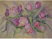 ��������