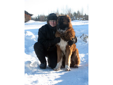 ��� �����, 13 ���.