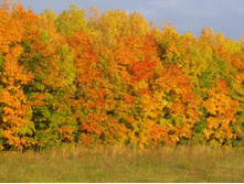 ���������� �����