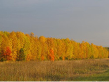 ���������� �����