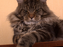 17Zeus9.jpg