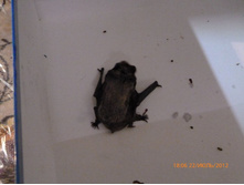 ������� - ������� ���� � ����� ����