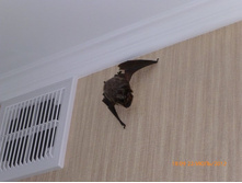 ������� ��������� �� ��������, �� ������...