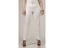 010-838 �����.gif