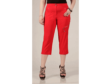 010-204 �������.gif