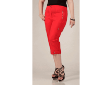 010-206 �������.gif