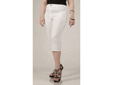 010-208 �����,�������,�������.gif