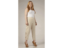 010-237 �������,�����.gif