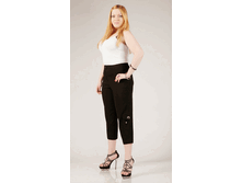 010-244 ������.gif