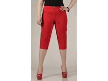 010-249 �������.gif