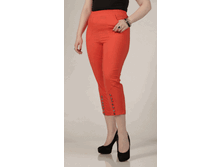 010-253 ������-���������.gif