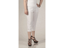 010-254 �����.gif