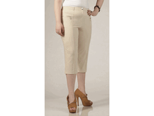 010-257 �������.gif