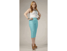 010-257 �������.gif