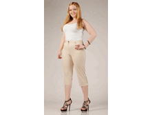 010-259 �������.gif