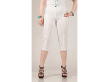 010-260 �����.gif