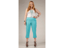 010-261 �������.gif