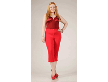 010-262 �������.gif