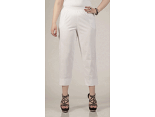 010-266 �����,�������,�������.gif