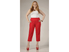 010-266 �������.gif